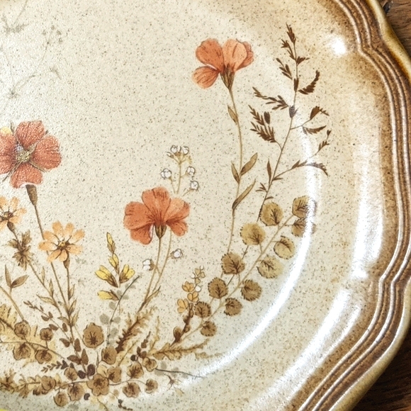 *SOLD* 8pc Mikasa Whole Wheat 'Jardiniere' plates - Picture 5 of 9